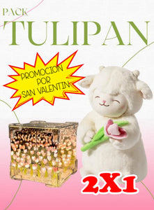 🐻 💗PELUCHE CORDEITO TULIPAN 💗 🌷TULIPAN INFINITO CAJA DE REGALO🌷