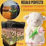 🐻 💗PELUCHE CORDEITO TULIPAN 💗 🌷TULIPAN INFINITO CAJA DE REGALO🌷